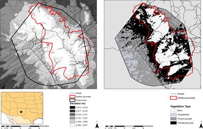 Mule deer (Odocoileus hemionus) resource selection: trade-offs between forage and predation risk